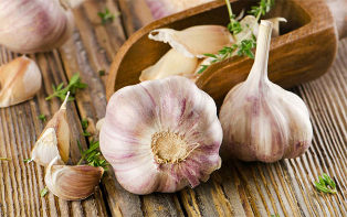 the benefits of garlic