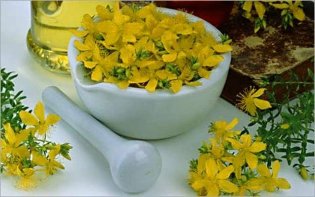 Recipes from the herb st. john's wort for the improvement of the erection